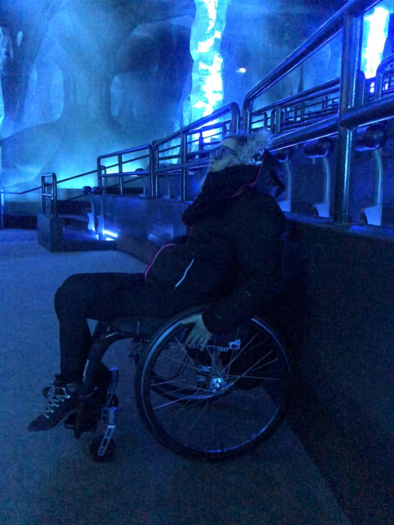 futuroscope handinary stories